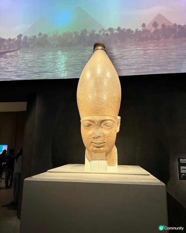 埃及展覽超震撼！🤩 4小時都看不完！⏳