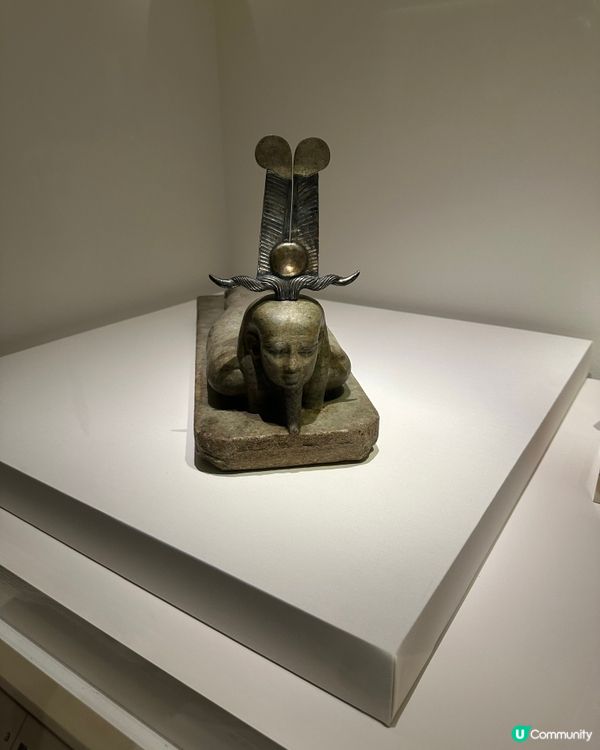 埃及展覽超震撼！🤩 4小時都看不完！⏳