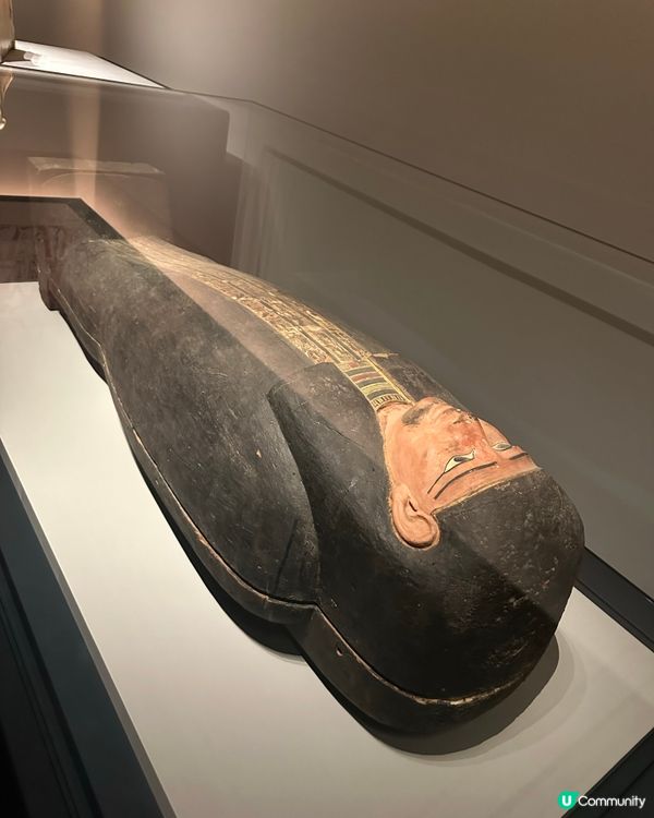 埃及展覽超震撼！🤩 4小時都看不完！⏳