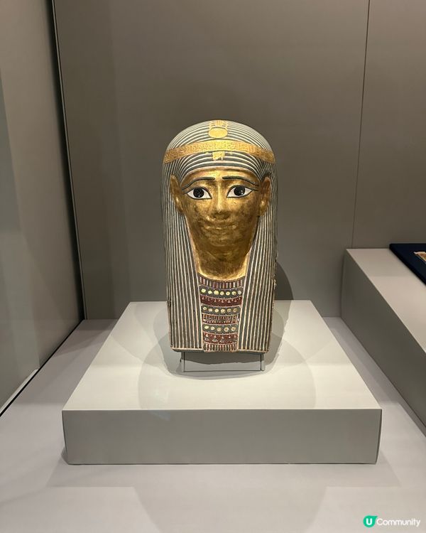 埃及展覽超震撼！🤩 4小時都看不完！⏳