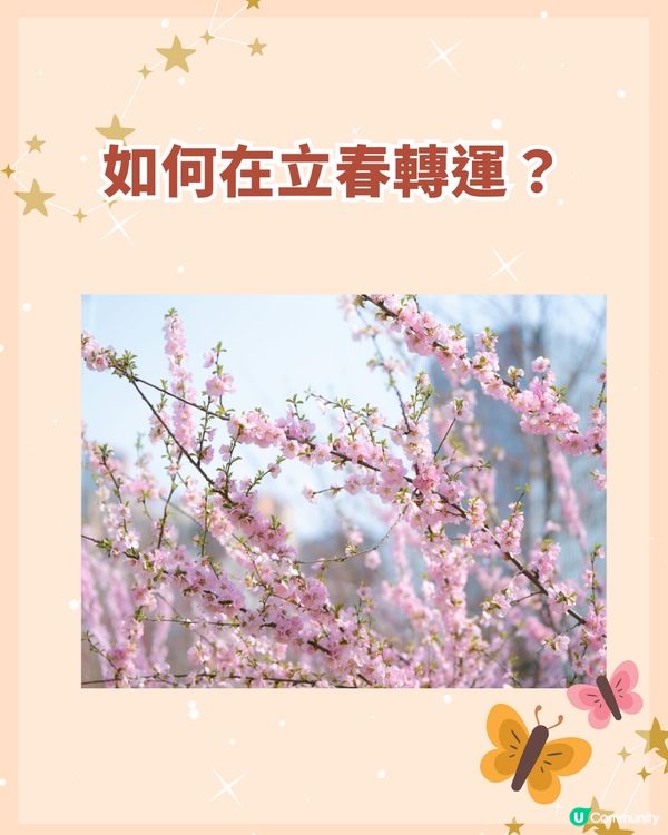 2026立春轉運｜2月4後這兩周是關鍵！3生肖事業財運雙起飛 無上榜也能靠3招「換氣」✨