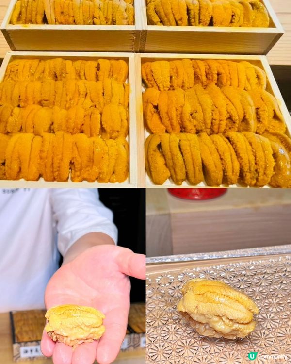 海膽熱狗封神!深圳高性價比日料