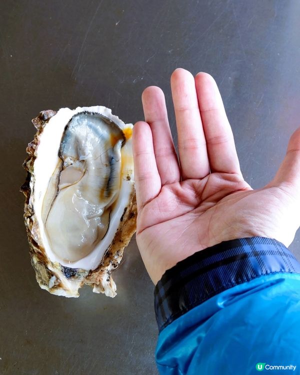 那珂湊海鮮丼🤤平靚正！