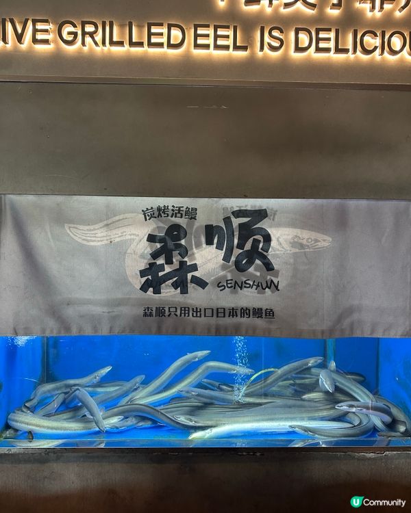 深圳好味的鮮活鰻魚烤肉店👍🏼推介雪糕烤麵包
