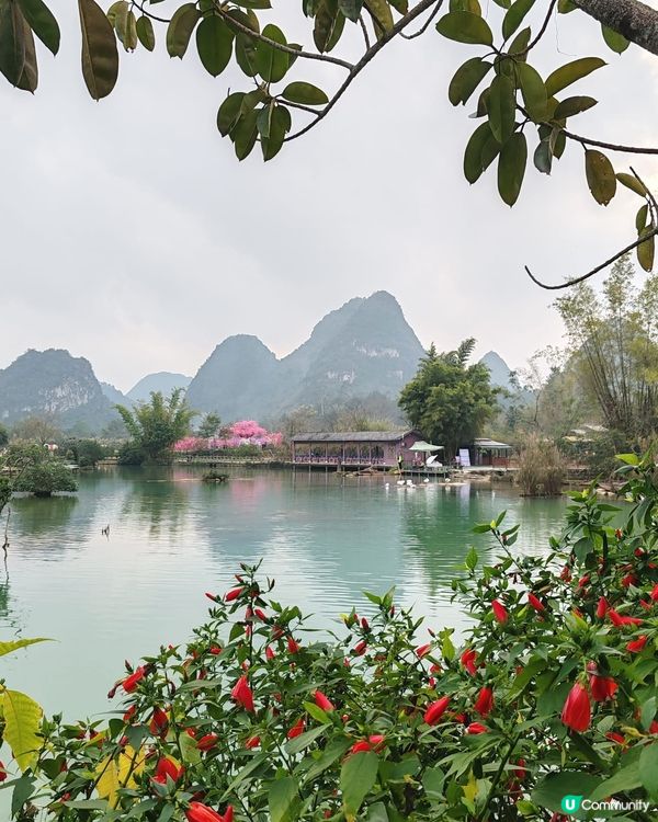 廣西靖西鵝泉景區