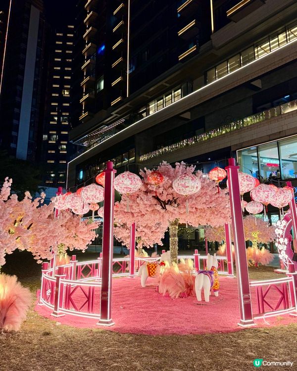 粉色浪漫櫻花海🌸✨新年必去