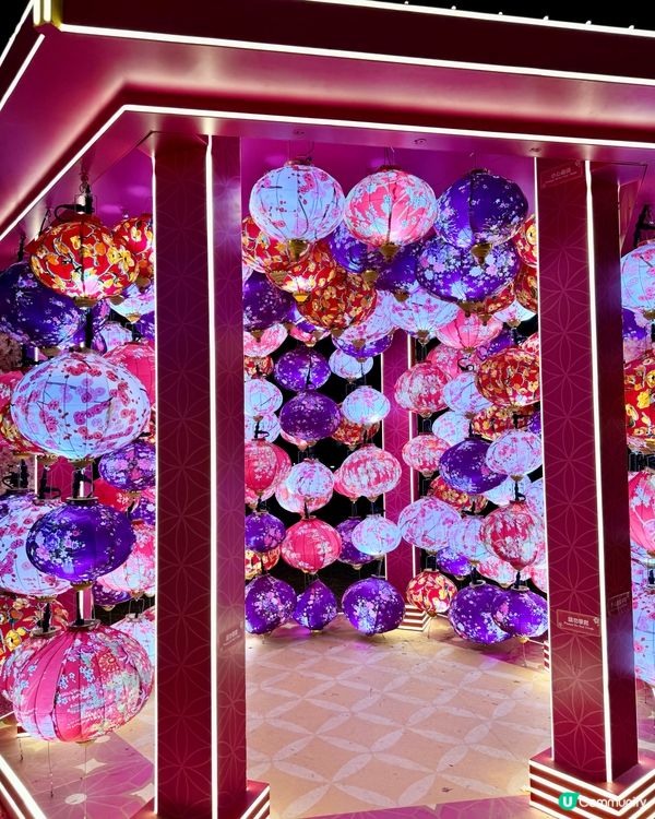 粉色浪漫櫻花海🌸✨新年必去