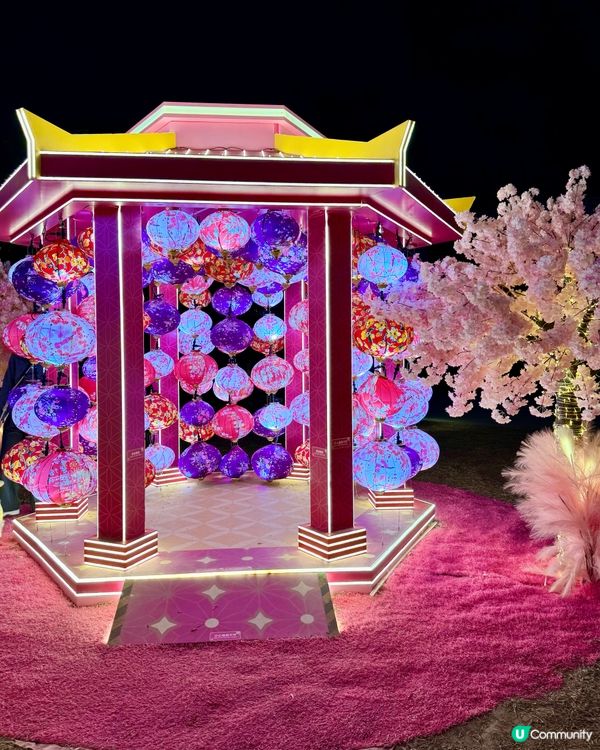 粉色浪漫櫻花海🌸✨新年必去