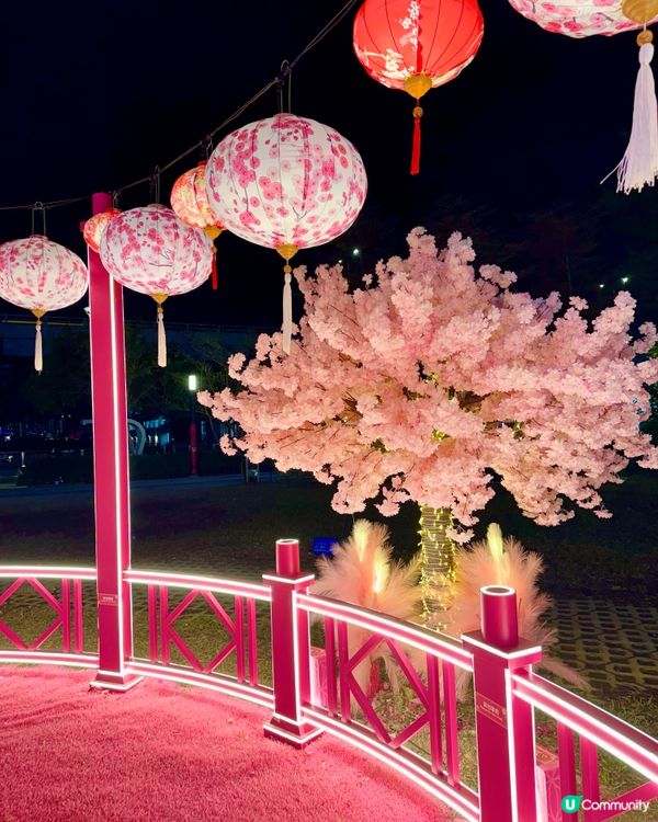 粉色浪漫櫻花海🌸✨新年必去