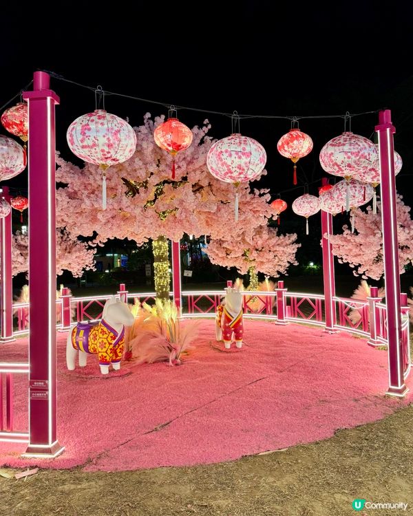 粉色浪漫櫻花海🌸✨新年必去