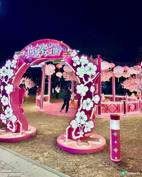 粉色浪漫櫻花海🌸✨新年必去