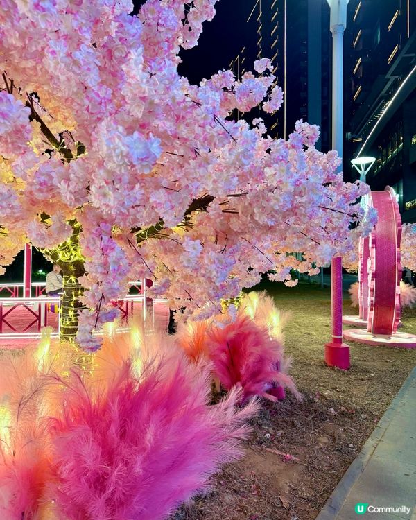 粉色浪漫櫻花海🌸✨新年必去