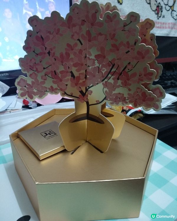 團年飯必食鮑魚宴😋🍲