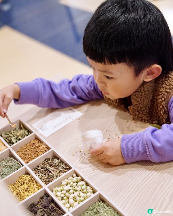 新春影靚相必到！松與松福運松林！📸✨