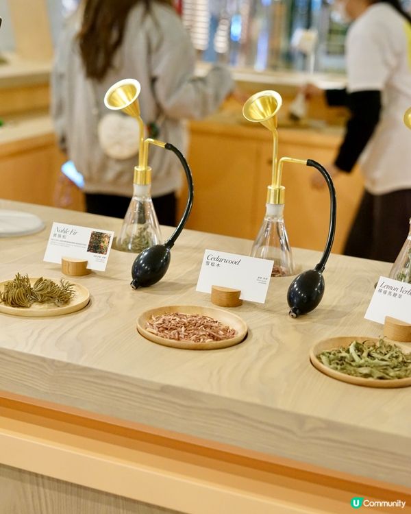 新春影靚相必到！松與松福運松林！📸✨