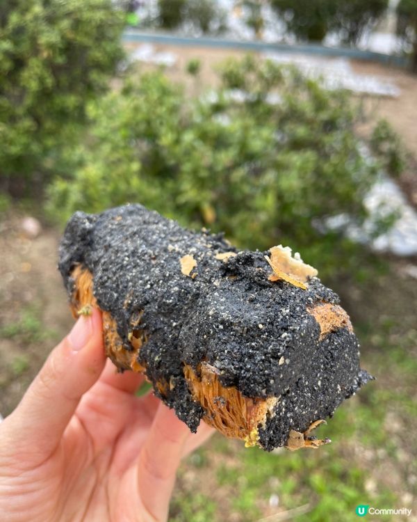 油麻地人氣烘焙店！忌廉筒入手！