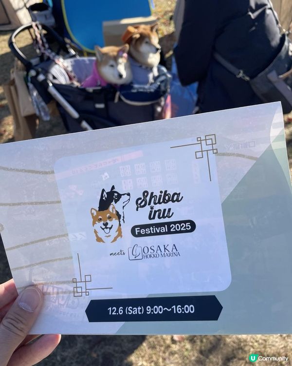 2025 大阪紅葉🍁柴犬節之旅