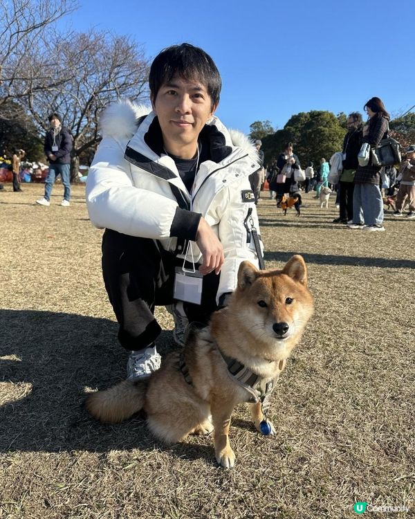 2025 大阪紅葉🍁柴犬節之旅