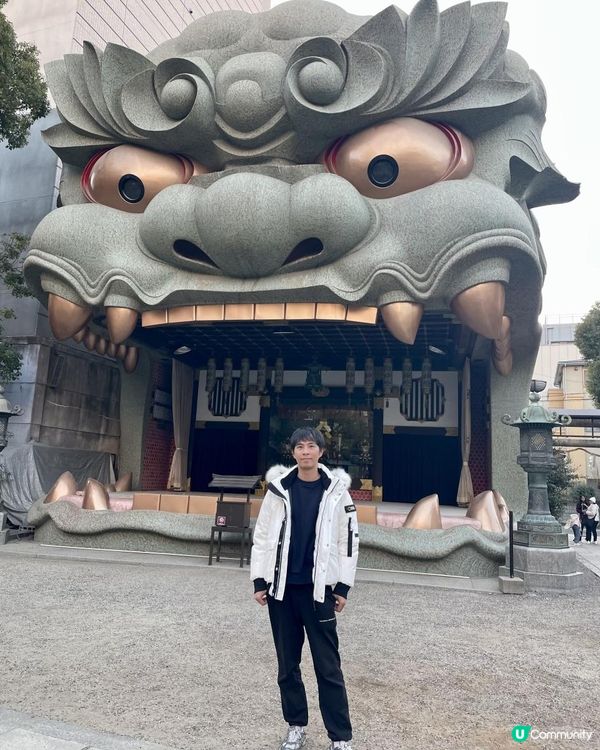 2025 大阪紅葉🍁柴犬節之旅