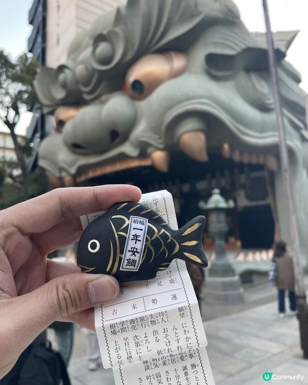 2025 大阪紅葉🍁柴犬節之旅