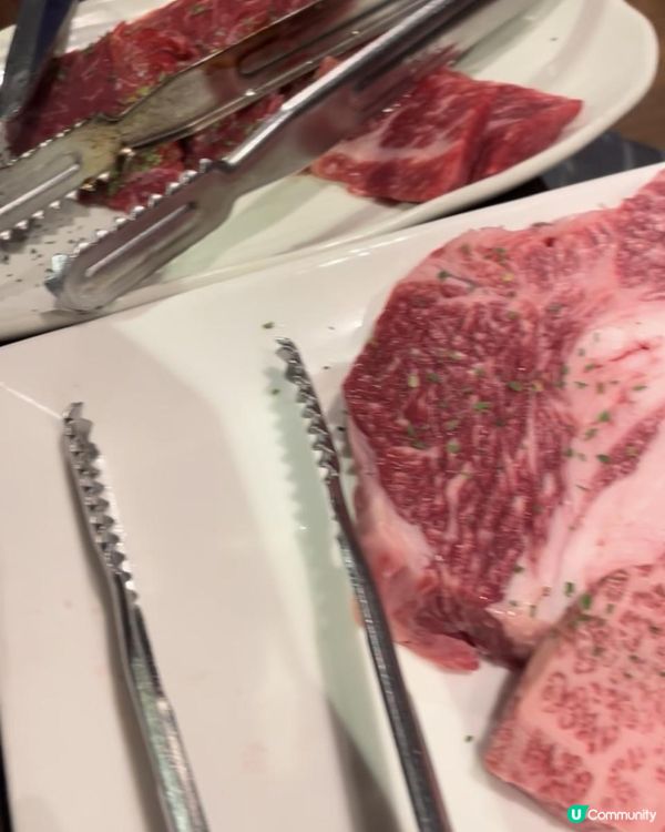 2025 大阪紅葉🍁柴犬節之旅