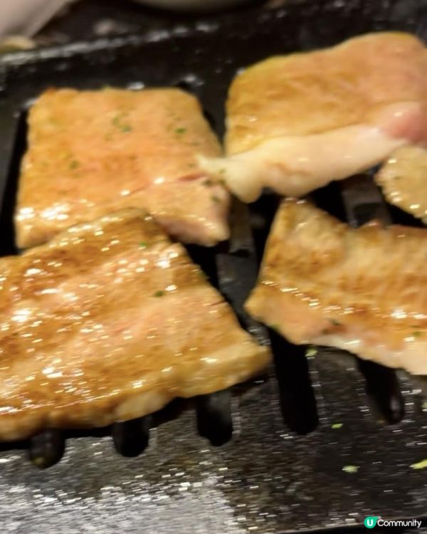 2025 大阪紅葉🍁柴犬節之旅