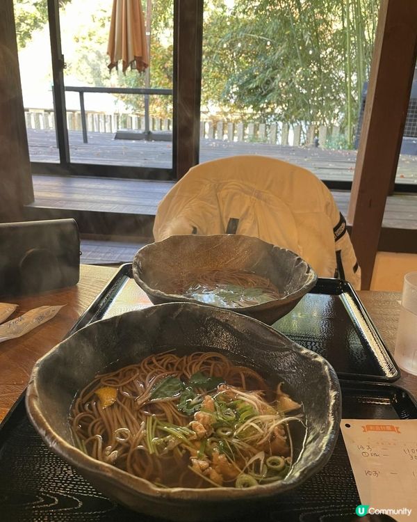 2025 大阪紅葉🍁柴犬節之旅