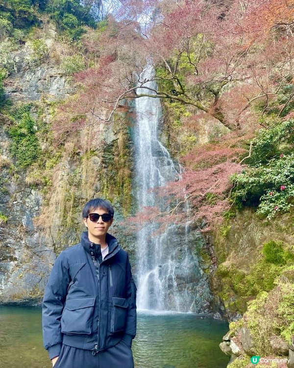 2025 大阪紅葉🍁柴犬節之旅