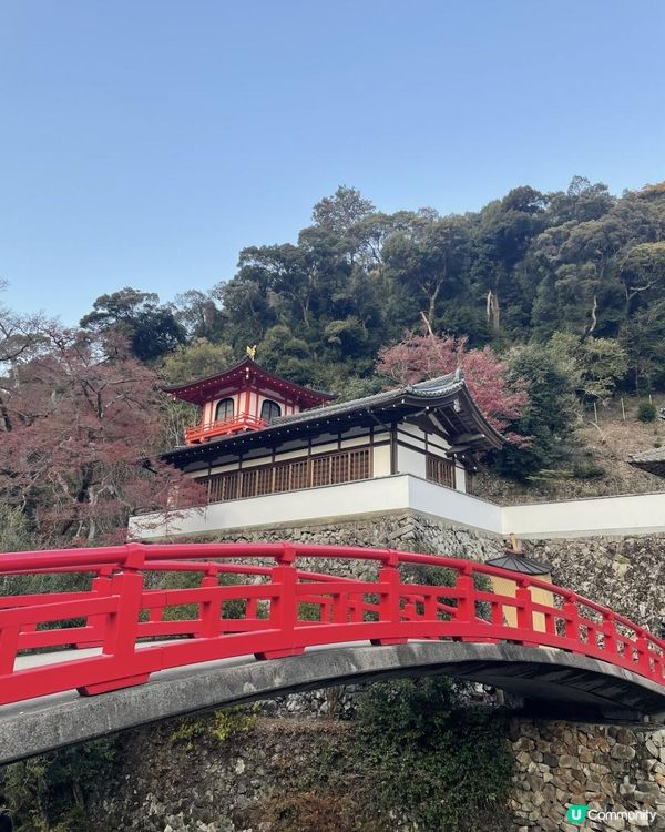 2025 大阪紅葉🍁柴犬節之旅