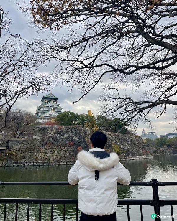 2025 大阪紅葉🍁柴犬節之旅