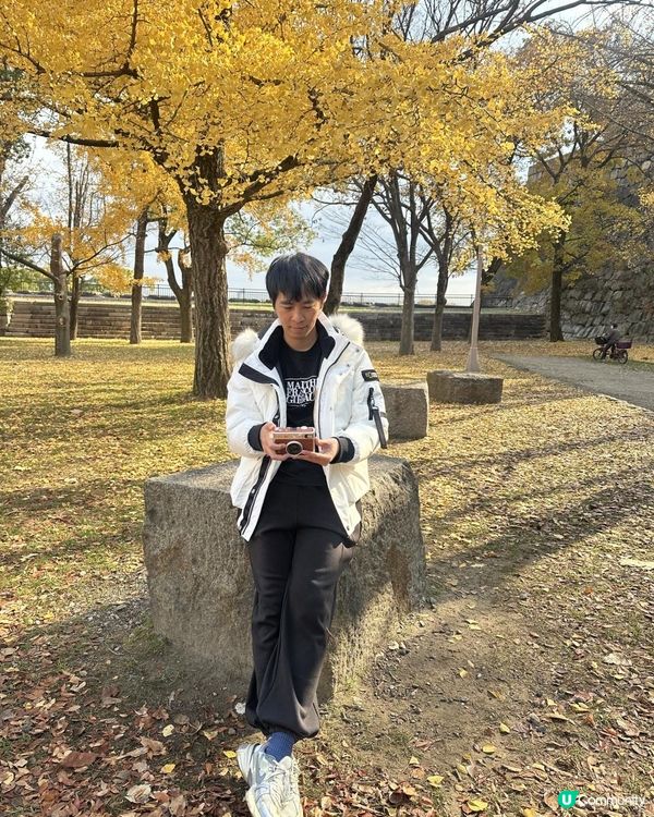 2025 大阪紅葉🍁柴犬節之旅