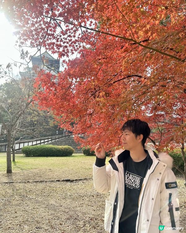 2025 大阪紅葉🍁柴犬節之旅