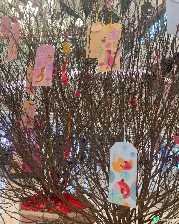 元朗街頭以及新年商場推介