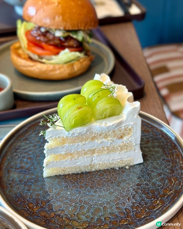 沙田馬場新蒲點🐎✨