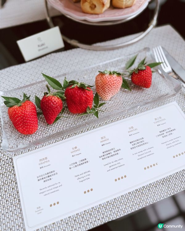 士多啤梨下午茶🍓🌸夢幻登場！