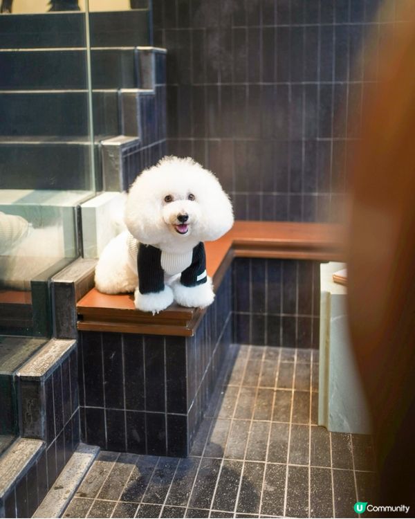 高質咖啡店 餐飲品項大升級