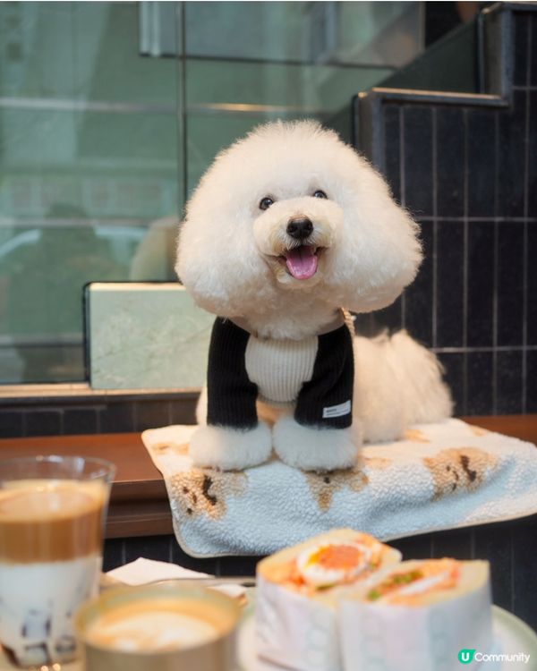 高質咖啡店 餐飲品項大升級