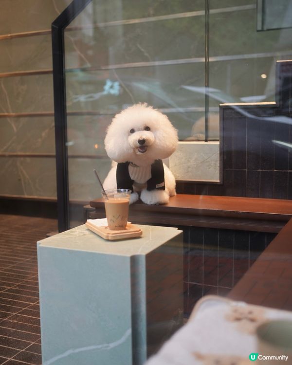 高質咖啡店 餐飲品項大升級