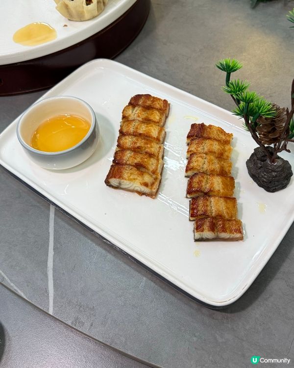 土瓜灣隱世細龜！🤤💰