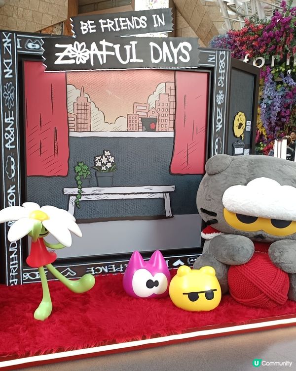 G-Dragon 愛貓 Zoa 限定店