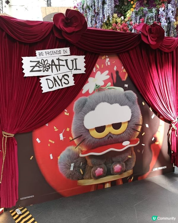 G-Dragon 愛貓 Zoa 限定店