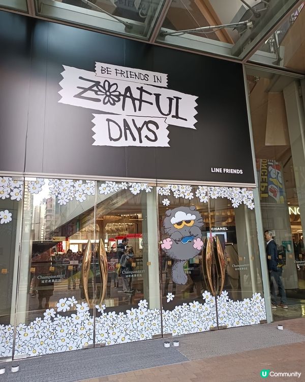 G-Dragon 愛貓 Zoa 限定店