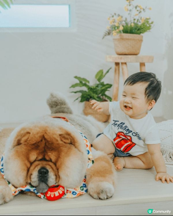 我隻狗狗需要有啲肥😂但超鐘意行山同出街～～