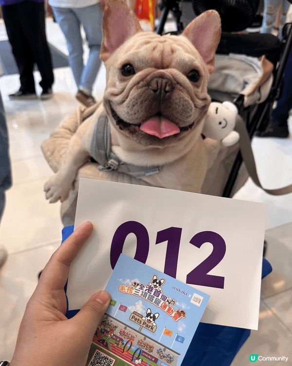 一有機會就會帶狗狗周圍去玩，除咗做陪食專員一齊食飯，仲會去海...