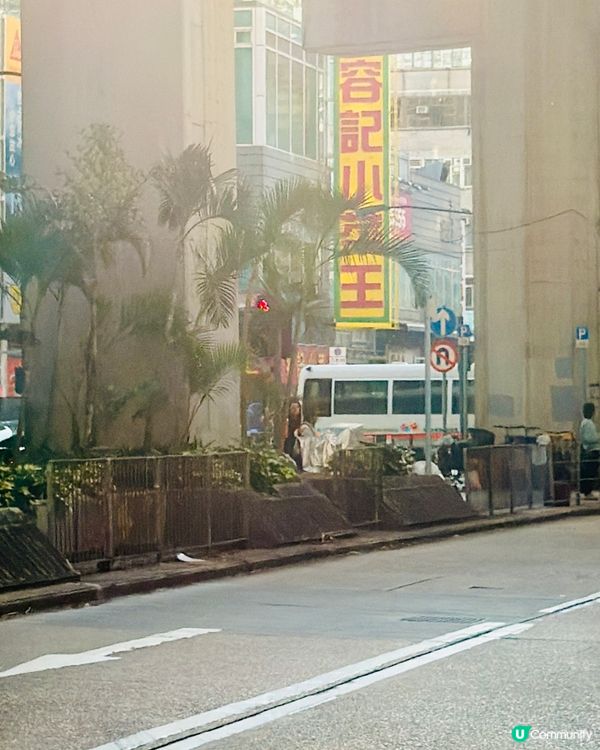 米芝蓮街坊味！容記小菜王 海鮮小炒勁過癮🔥