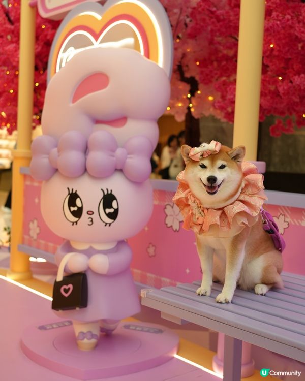 🌸 新春櫻花鐵道之旅 🚃