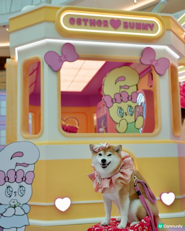 🌸 新春櫻花鐵道之旅 🚃