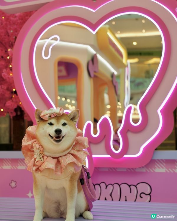 🌸 新春櫻花鐵道之旅 🚃