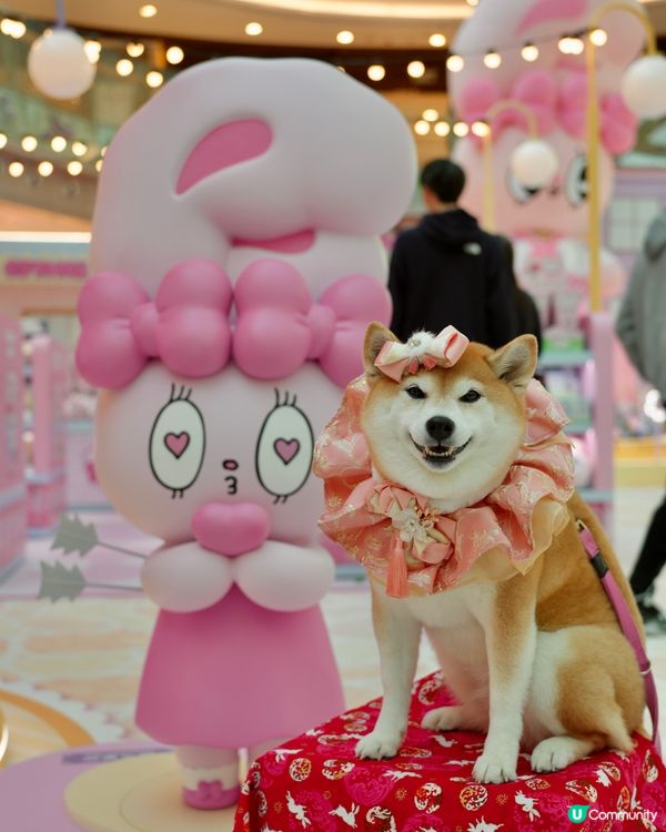 🌸 新春櫻花鐵道之旅 🚃