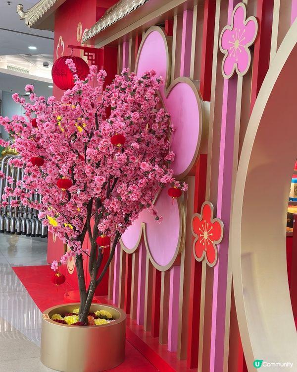 觀塘apm新年桃花迪士尼🌸💖